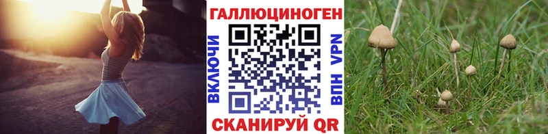 Псилоцибиновые грибы Cubensis  дарнет шоп  Абинск 