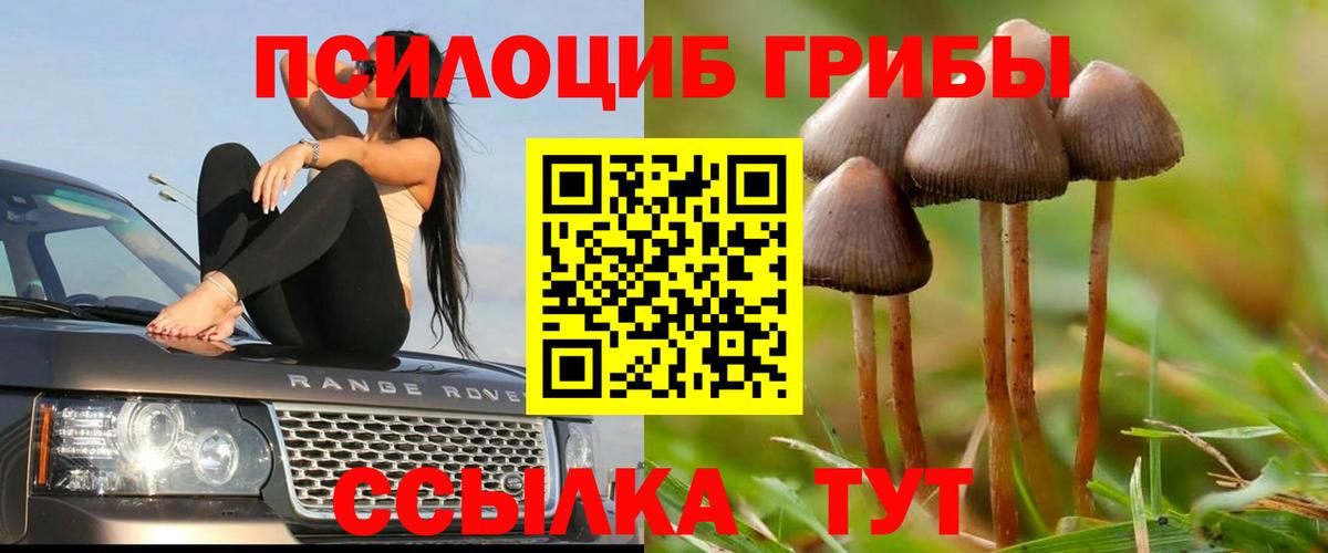 Псилоцибиновые грибы мицелий  Вход с VPN  Абинск 
